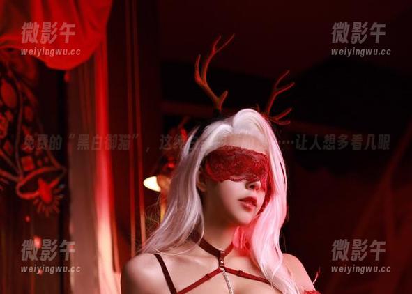 免费的“黑白御猫”,这纯白美图真的是……让人想多看几眼 免费的“黑白御猫”,这纯白美图真的是……让人想多看几眼
